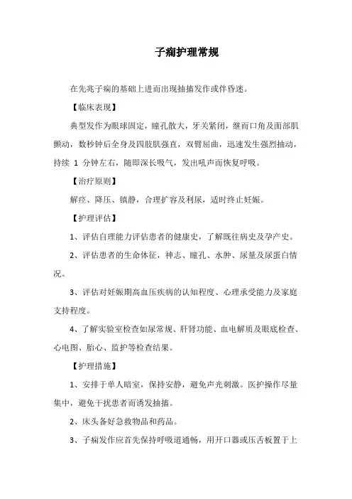 子痫护理常规