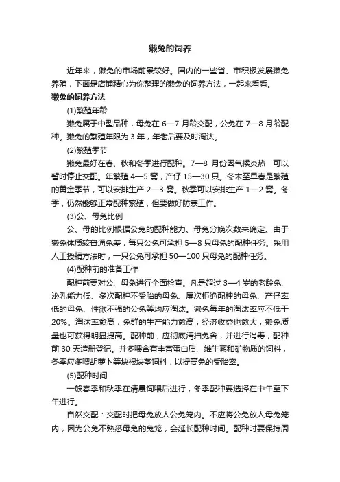 獭兔的饲养