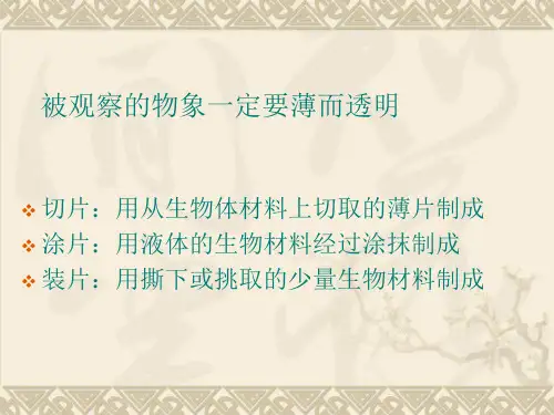 制作并观察植物细胞临时装片ppt课件