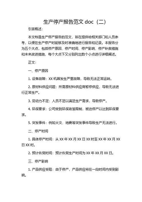 生产停产报告范文doc(二)