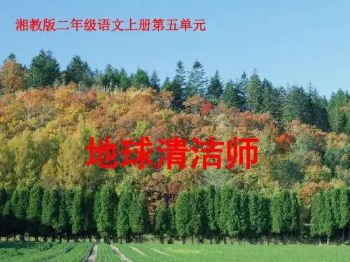 二年级语文地球清洁师