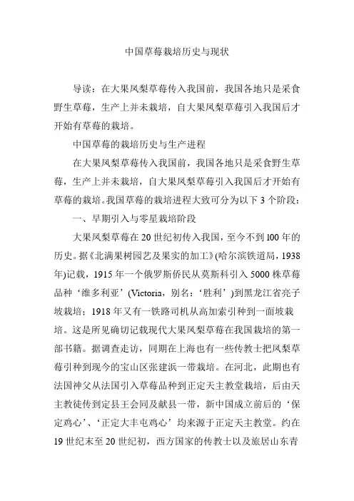 中国草莓栽培历史与现状