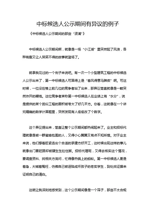 中标候选人公示期间有异议的例子