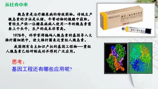 3-3 基因工程的应用(教学课件)——高中生物人教版(2019) 选择性必修3
