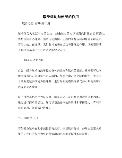 暖身运动与伸展的作用