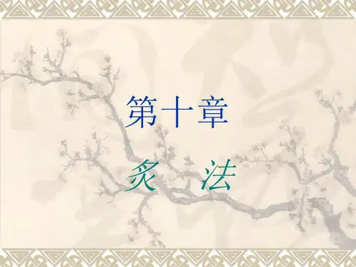 第10章炙法
