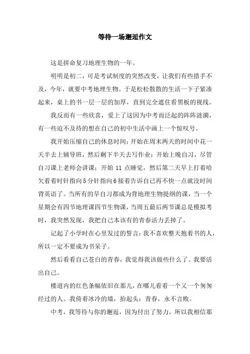 等待一场邂逅作文