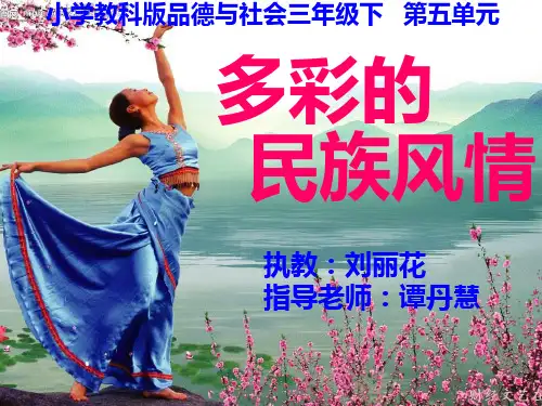 多彩的民族风情--PPT课件