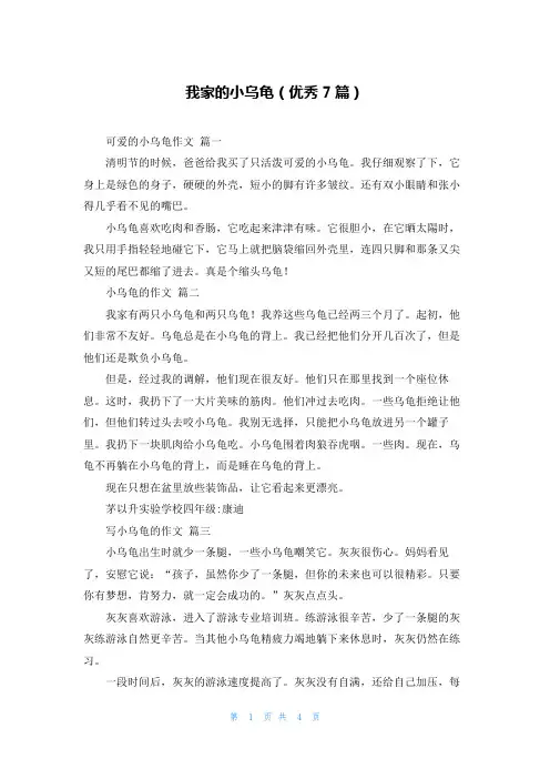我家的小乌龟(优秀7篇)