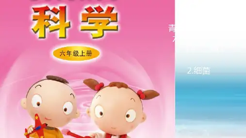 2新青岛版小学科学六年制六年级上册.《细菌》教学课件