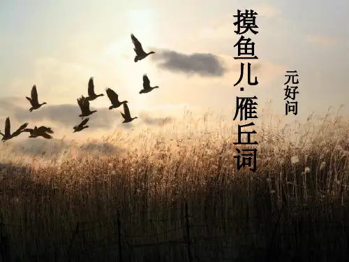摸鱼儿-雁丘词--元好问ppt