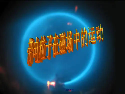 带电粒子在磁场中的运动--ppt课件(2024版)