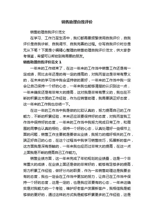 销售助理自我评价范文