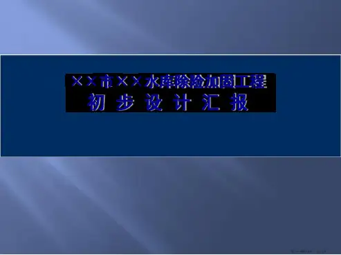小2型水库除险加固工程初设汇报