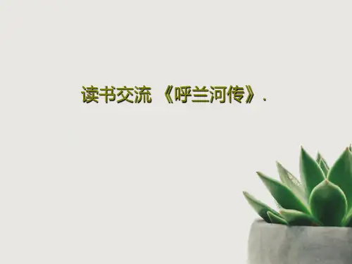 读书交流 《呼兰河传》.30页PPT