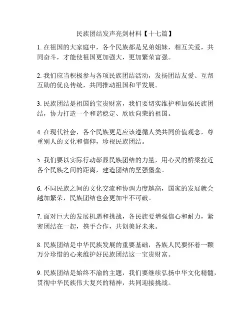 民族团结发声亮剑材料【十七篇】