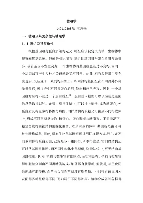 糖组学综述
