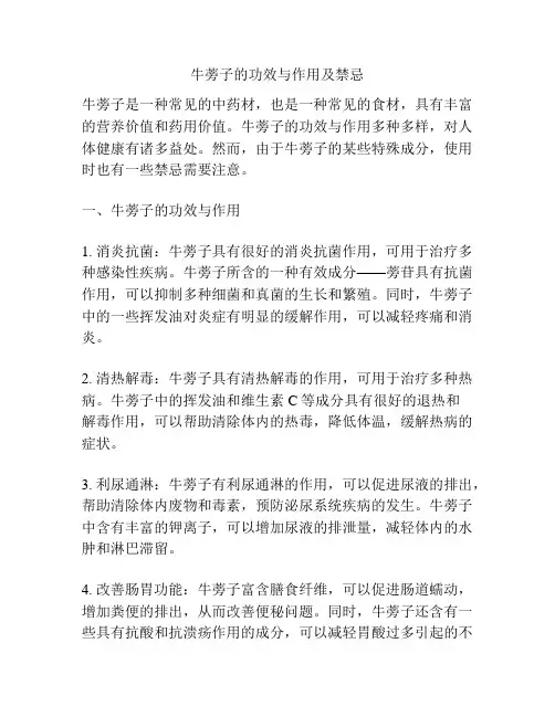 牛蒡子的功效与作用及禁忌