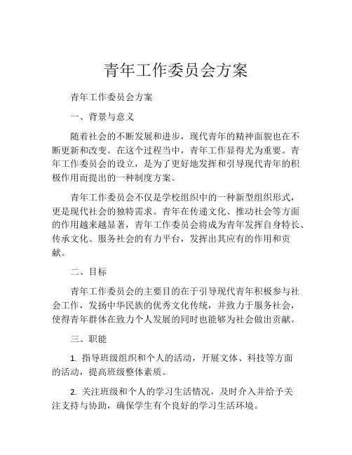青年工作委员会方案