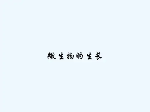 微生物的生长 PPT