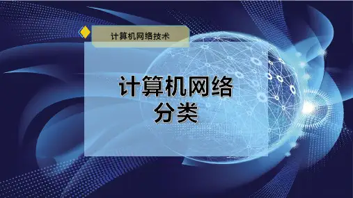 计算机网络分类