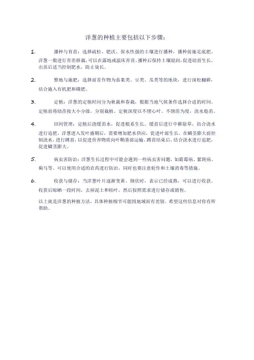 洋葱种植方法