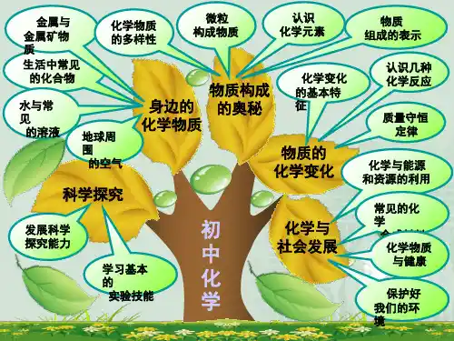 九年级全册化学知识树PPT课件