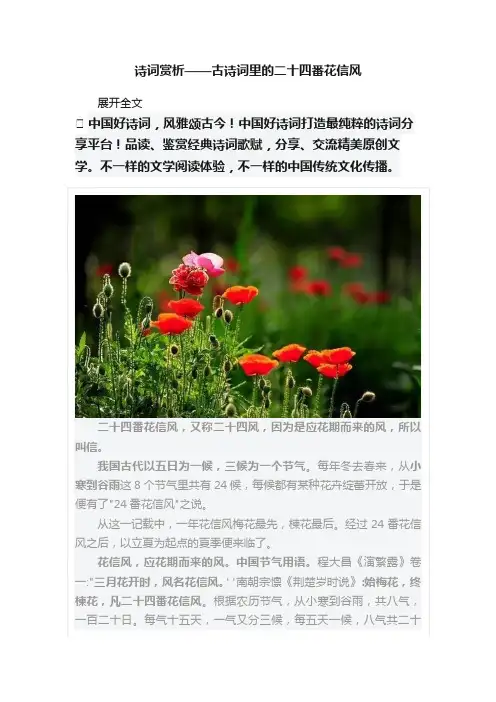 诗词赏析——古诗词里的二十四番花信风