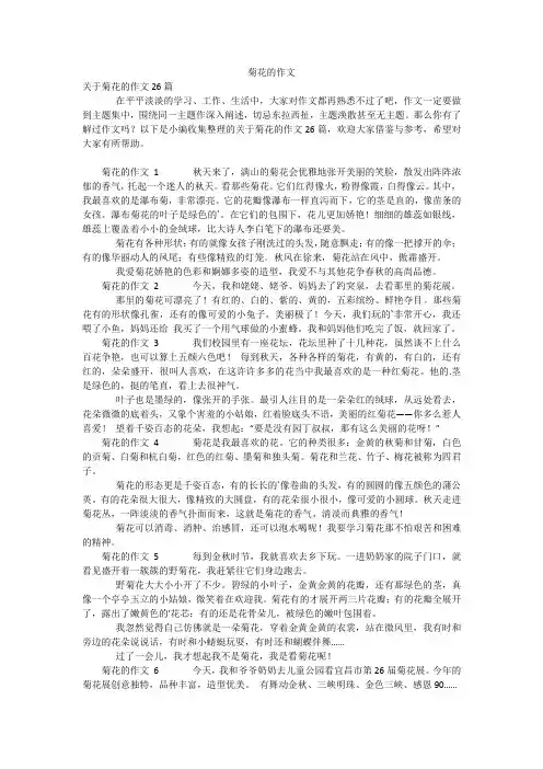 菊花的作文_3