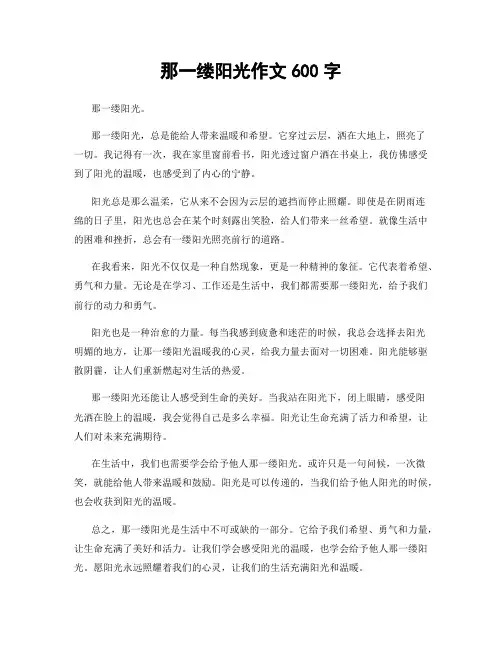 那一缕阳光作文600字