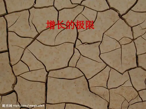 增长的极限.