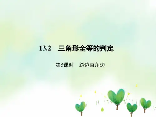 斜边直角边PPT教学课件义务教育