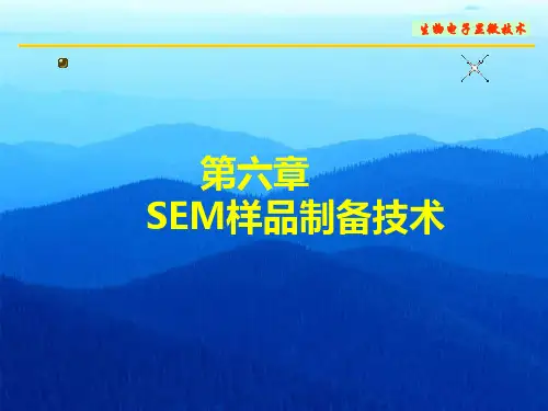 第六章  SEM样品制备技术NEW