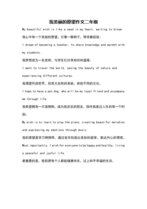 我美丽的愿望作文二年级