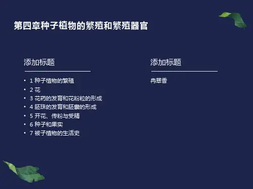 种子植物的繁殖和繁殖器官