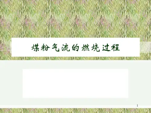 第五章   锅炉原理及设备 第二讲5.2煤粉气流的燃烧过程