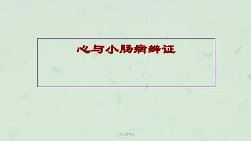 心与小肠辩证课件