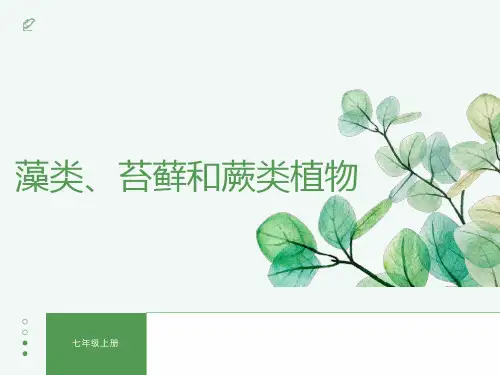人教版生物七年级上册2.1.1《藻类、苔藓和蕨类植物》教学课件