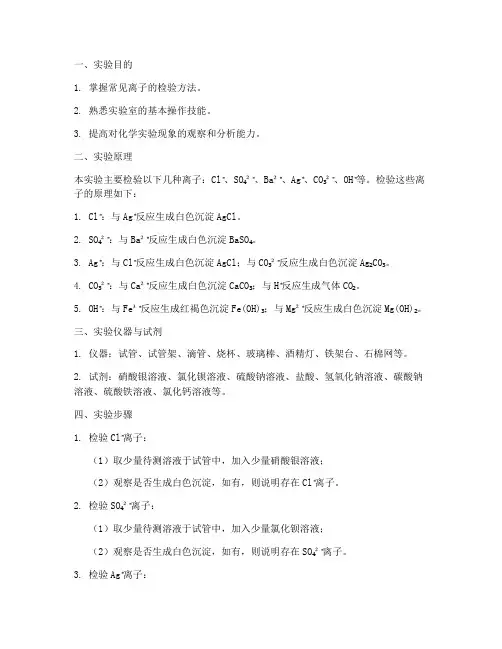 检验离子的实验报告