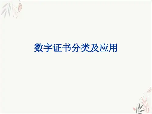 数字证书分类及应用课件-PPT