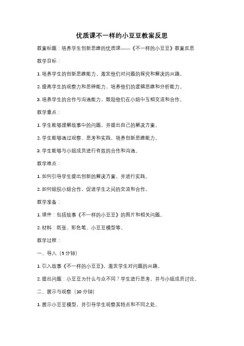 优质课不一样的小豆豆教案反思