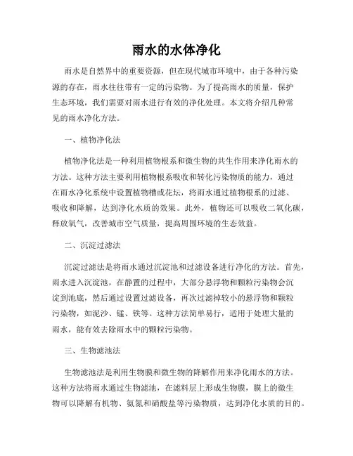 雨水的水体净化
