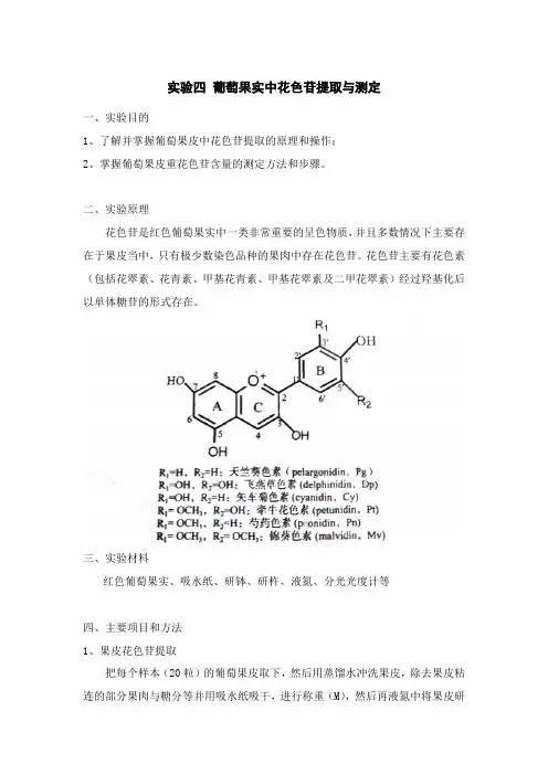 实验四 葡萄果实中花色苷提取与测定