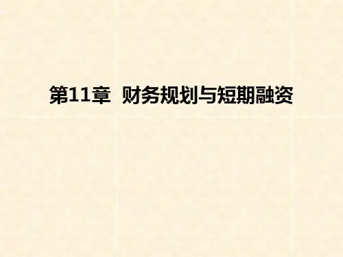 第11章  财务规划与短期融资