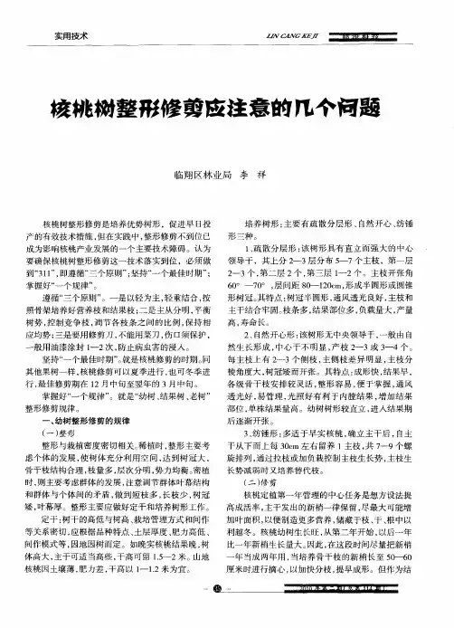 核桃树整形修剪应注意的几个问题
