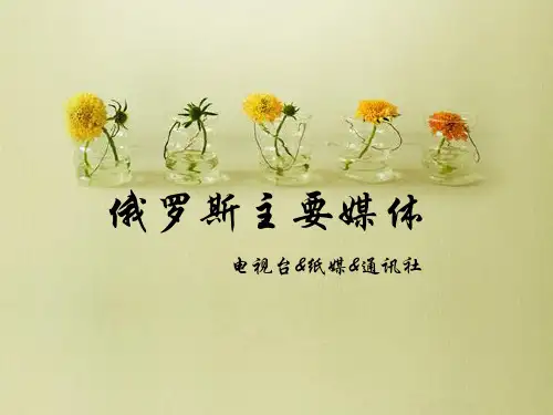俄罗斯主要媒体介绍