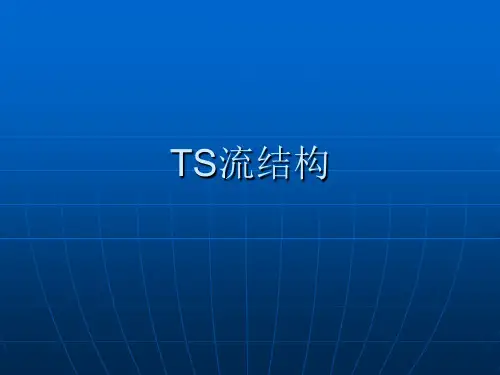 TS流结构