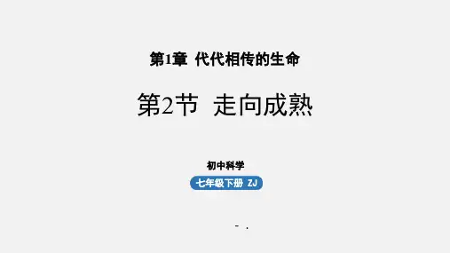 《走向成熟》PPT课件
