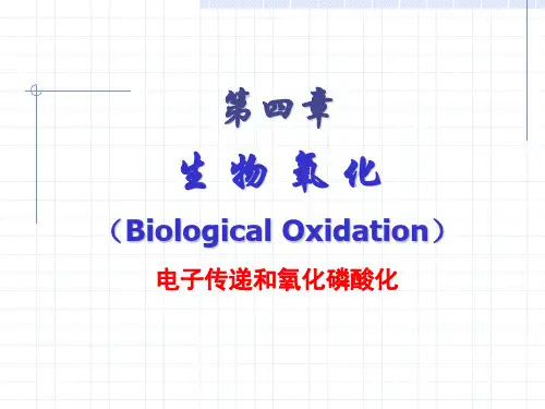 2014 生物氧化—电子传递和氧化磷酸化