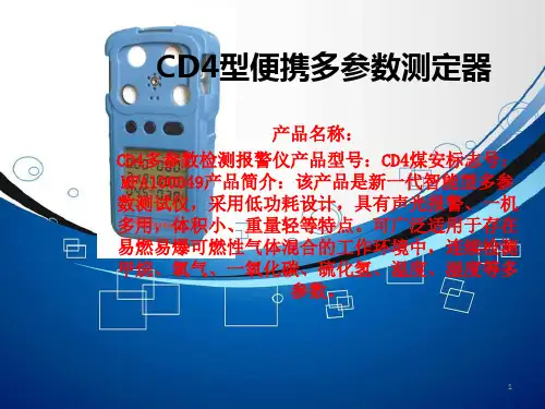 CD4型便携多参数测定器